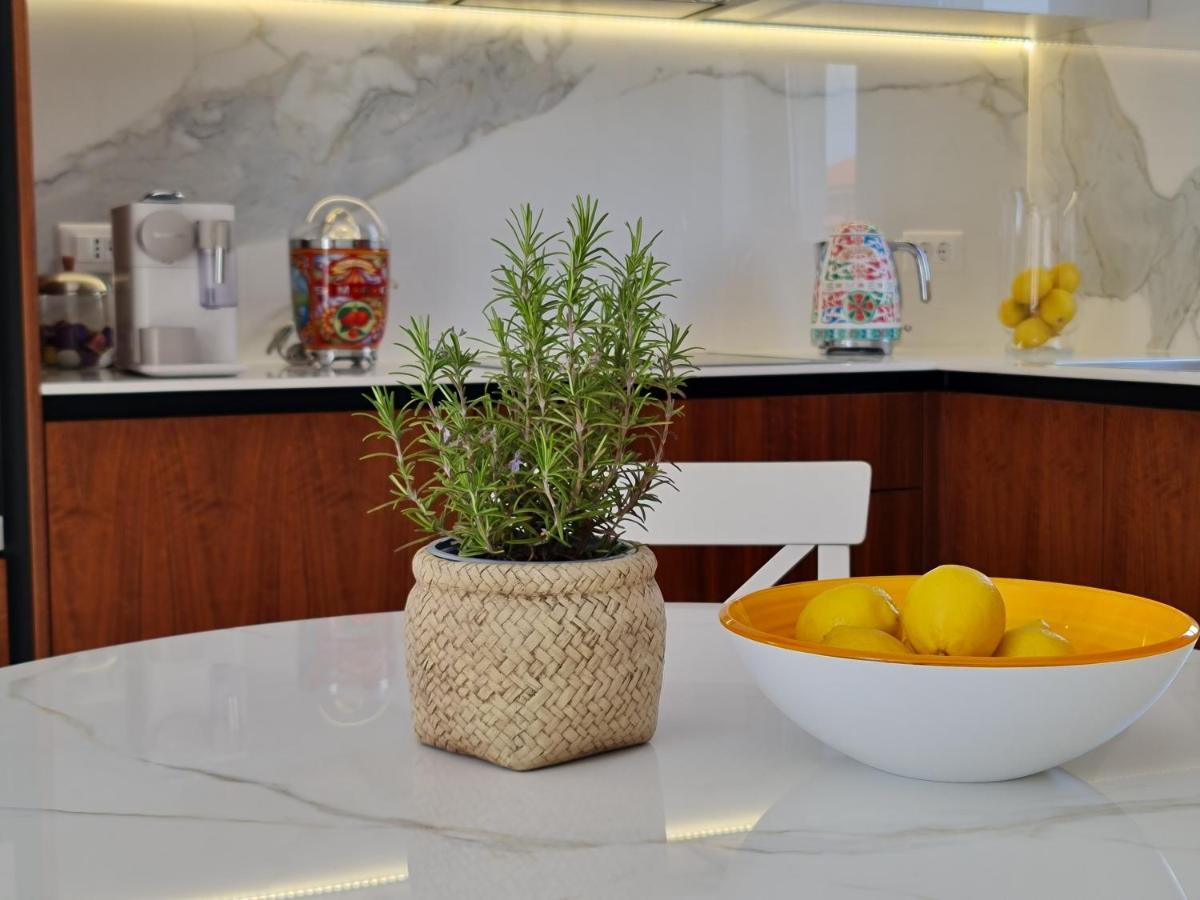 New!!! 2024 Marea Apartments With Xxl Sunny Terrace Porec Bagian luar foto